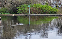 Holland Point Park