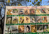 City Bird Sanctuary