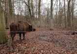 Wildpark Alte Fasanerie