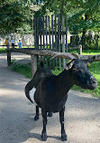 Wildpark Alte Fasanerie