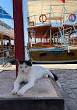 Antalya Kaleiçi Ancient City & Marina