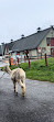 Canada Agriculture and Food Museum