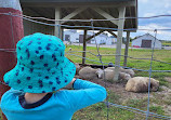 Canada Agriculture and Food Museum