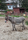 Canada Agriculture and Food Museum