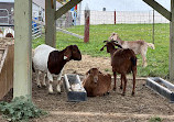 Canada Agriculture and Food Museum