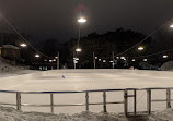 Rideau Skating Rink