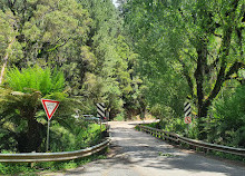 Le sequoie Otways