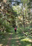 Rockport State Park