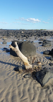 Elliott Heads rock pools