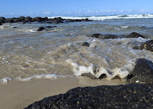 Elliott Heads rock pools