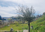 Kerameikos Archaeological Site