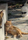 Kerameikos Archaeological Site