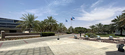 United Arab Emirates University