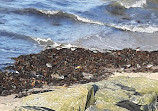 High Tide Covers Rock Beach