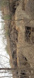 Kanheri Caves - Ticket Booking Counter