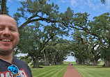 Oak Alley Plantation