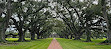 Oak Alley Plantation