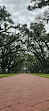 Oak Alley Plantation