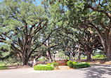 Oak Alley Plantation