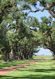 Oak Alley Plantation