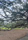 Oak Alley Plantation