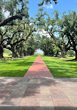 Oak Alley Plantation