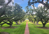 Oak Alley Plantation