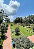 Oak Alley Plantation