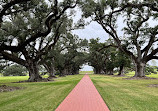 Oak Alley Plantation