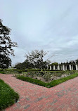 Oak Alley Plantation