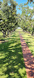 Oak Alley Plantation