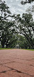 Oak Alley Plantation