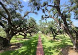 Oak Alley Plantation