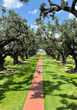 Oak Alley Plantation