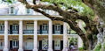 Oak Alley Plantation