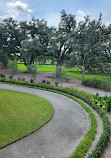 Oak Alley Plantation