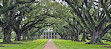 Oak Alley Plantation