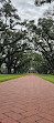 Oak Alley Plantation