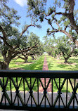 Oak Alley Plantation