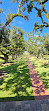 Oak Alley Plantation