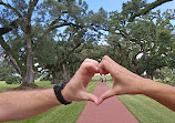 Oak Alley Plantation