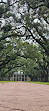 Oak Alley Plantation