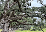 Oak Alley Plantation