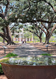 Oak Alley Plantation