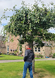 Mary Queen Of Scots' Visitors Centre