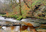 Roddlesworth Waterfall