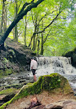 Roddlesworth Waterfall