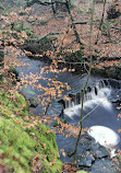 Roddlesworth Waterfall