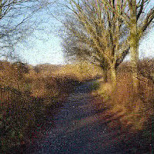 Cuerden Valley Park