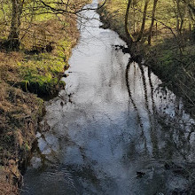 Cuerden Valley Park